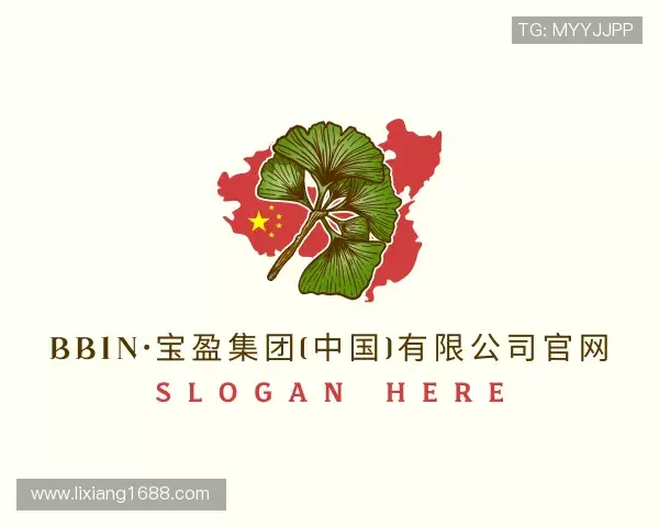 解读bbin宝盈集团官网